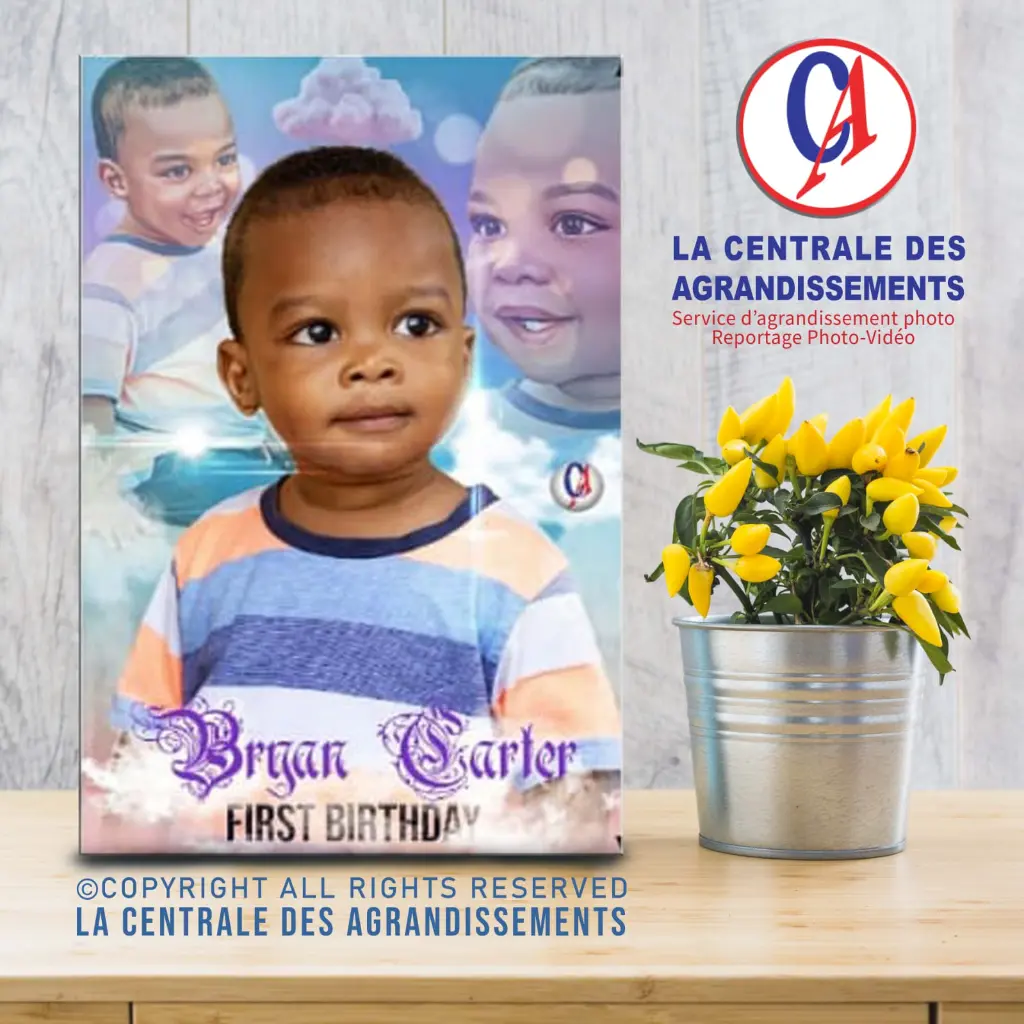 399ad41e-14cf-427d-bf94-aafcd66422c1 (1).webp